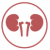 Nephrology